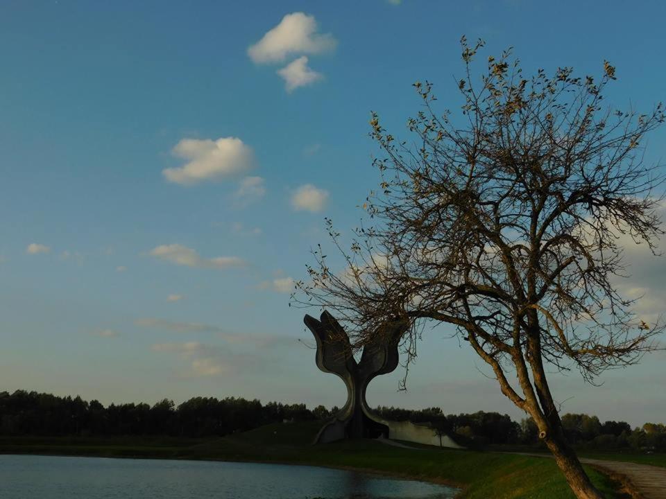 Kod Ribica Bed & Breakfast Jasenovac ภายนอก รูปภาพ