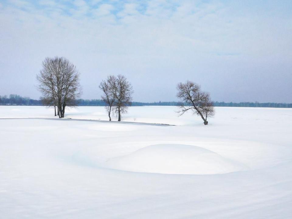 Kod Ribica Bed & Breakfast Jasenovac ภายนอก รูปภาพ